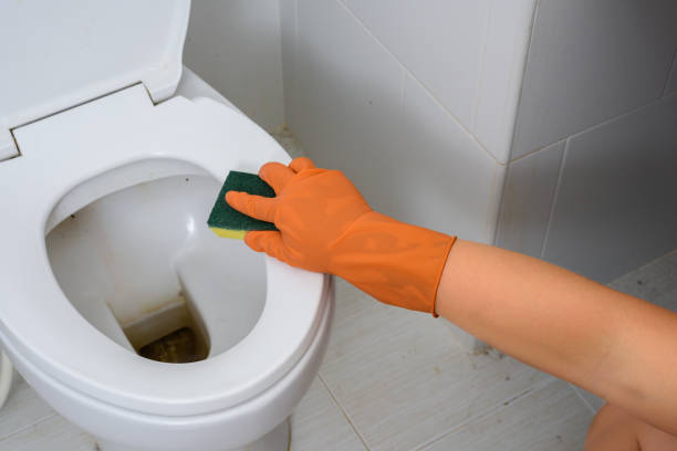 Métodos Eficazes para Solucionar o Problema!